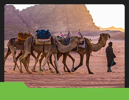middle east tour packages from bd
