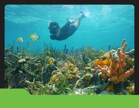 Saint Martin's Island Snorkeling & Beach Adventure